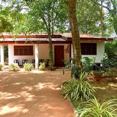 Senasuma Holiday Bungalow أنرادابورام المظهر الخارجي الصورة
